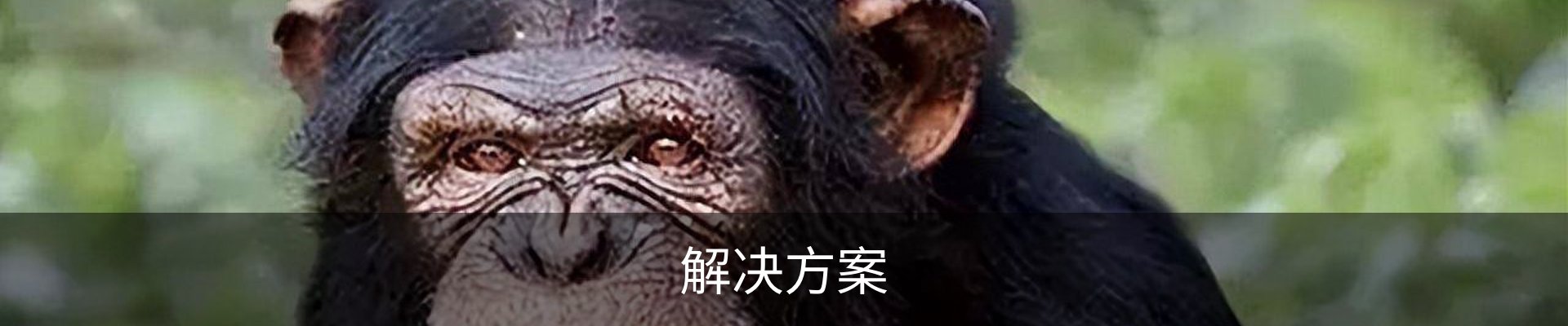 解决方案